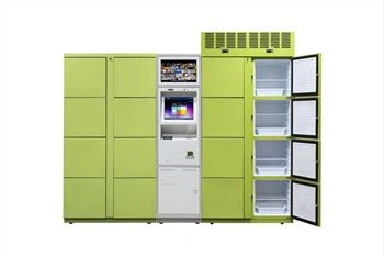 Casilleros refrigerados para paquetes